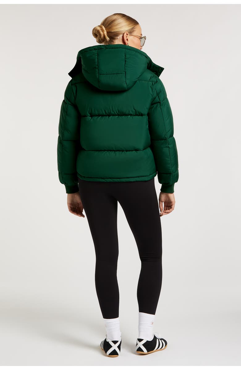 4TH ARQ Hudson Long Sleeve Hooded Puffer Coat, Alternate, color, 