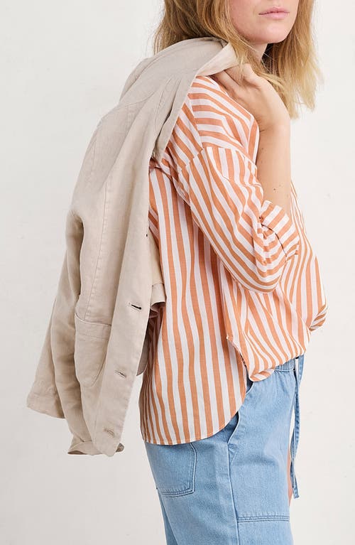 Shop Seasalt Cornwall Eyebright Stripe Organic Cotton Popover Shirt In Mini Scallion Cumin