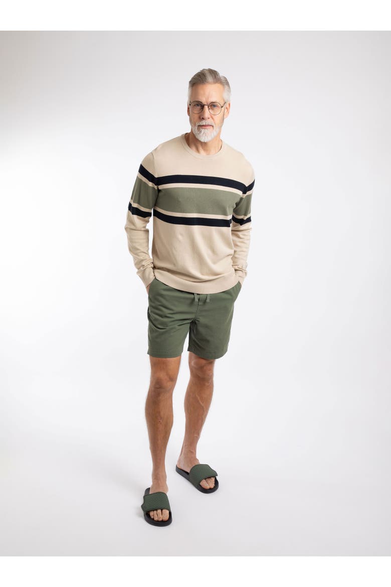 Ryker Stripe Crew Neck Jumper, Alternate, color, Oyster