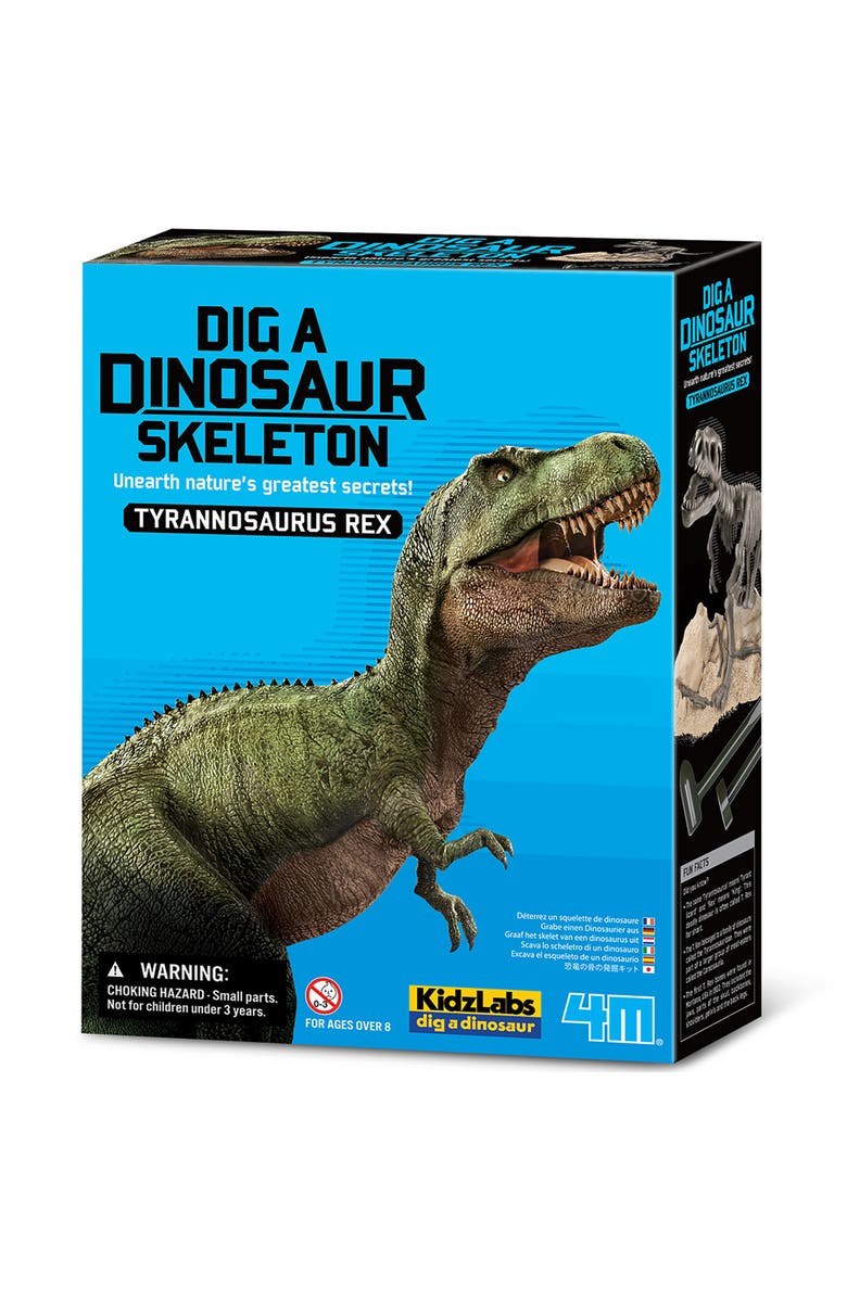 4M KidzLabs Dig A Dinosaur Skeleton, Tyrannosaurus Rex Kit, Main, color, Multicolored