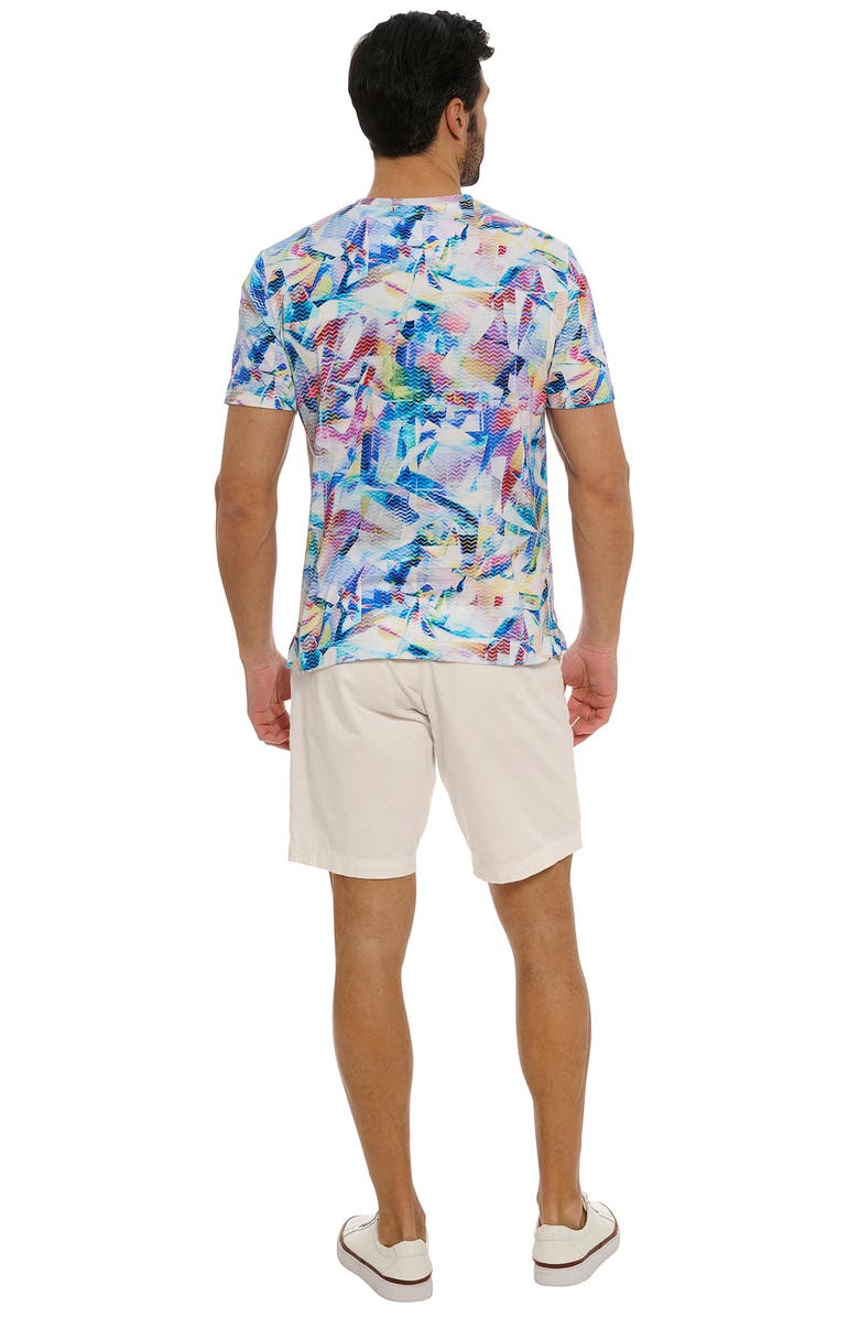 Robert Graham Kaleidoskull Cotton Graphic T-Shirt, Alternate, color, 