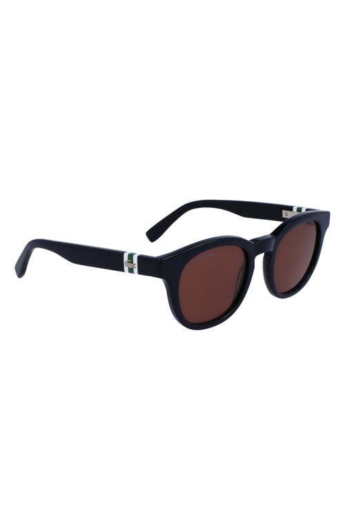 Lacoste 49mm Oval Sunglasses In Blue