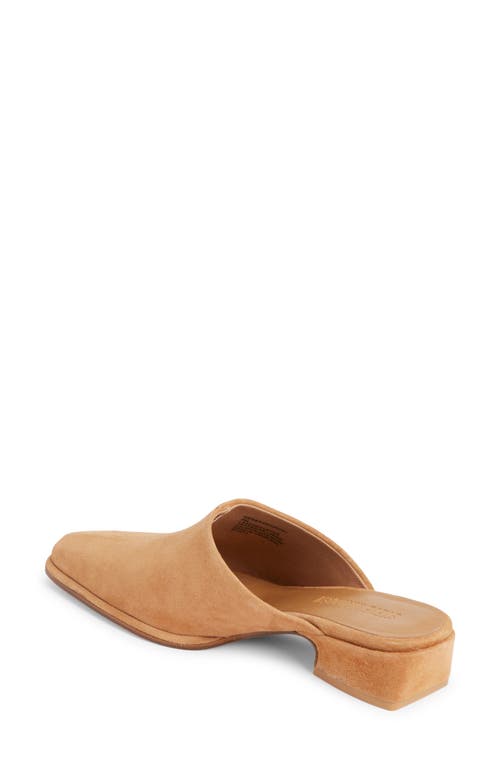 Steve Madden Dessa Mule