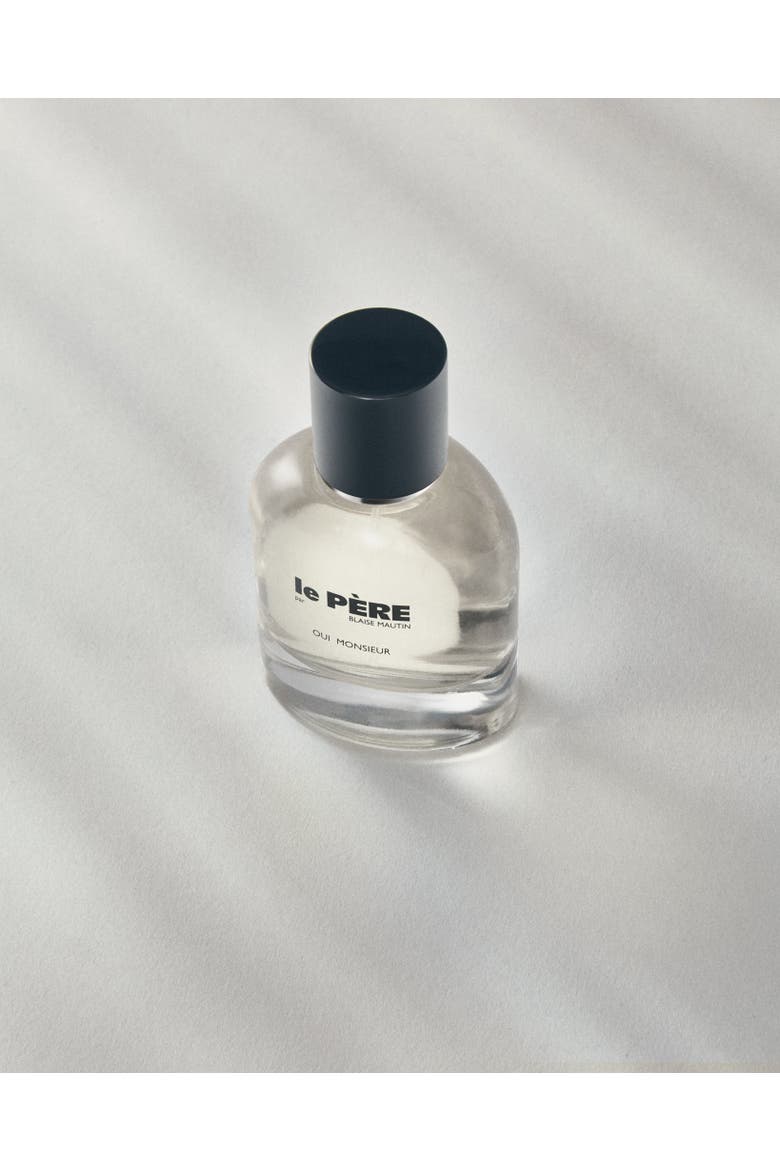 Oui Monsieur Eau de Parfum, Alternate, color, Oui Monsieur