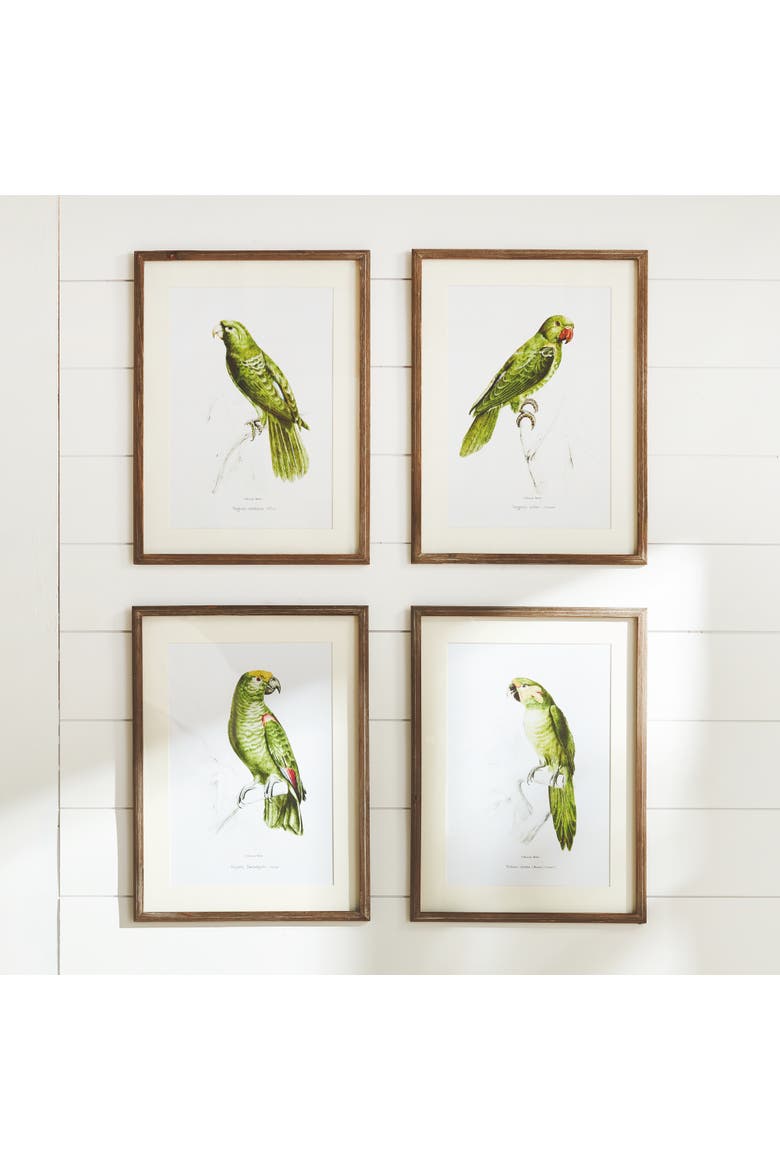 17.75"W x 1"D x 23.5"H Parrot Illustrations In Green Framed Wall Art Set of 4, Alternate, color, Green