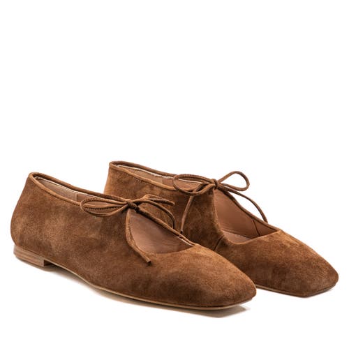 Andrea Gomez Amelia  Suede Ballerina Flat In Brown