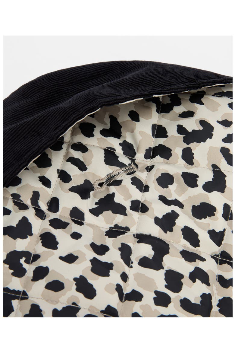 Harley Quilted Leopard Dog Coat, Alternate, color, JASMINE LEOPARD