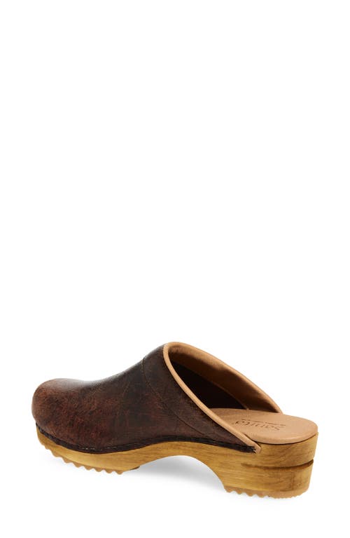 Sanita Melissa Clog In Brown