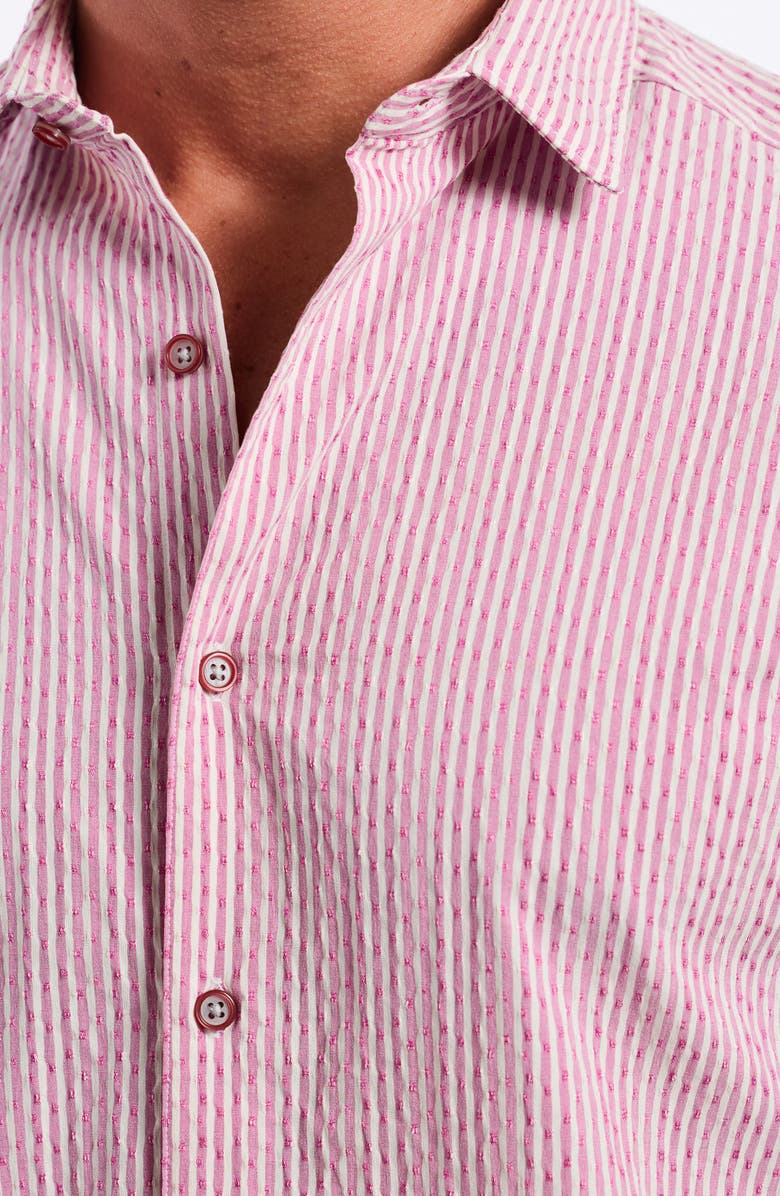 Robert Graham Fornillo Classic Fit Stripe Short Sleeve Button-Up Shirt, Alternate, color, Berry