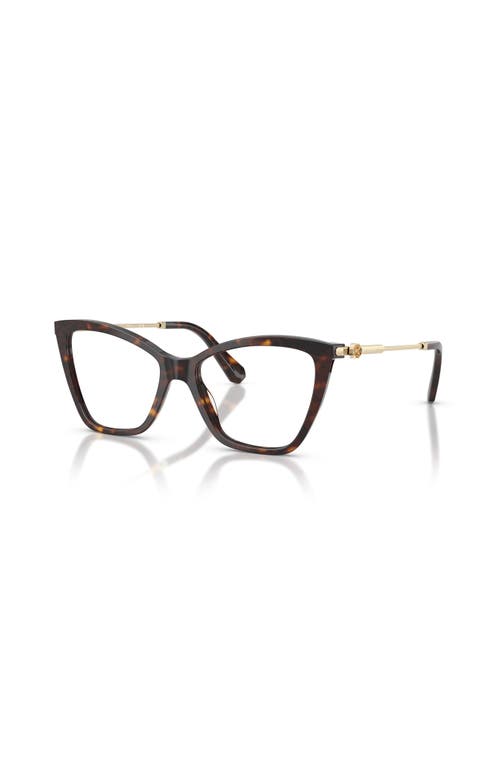 Swarovski 53mm Cat Eye Optical Glasses In Brown
