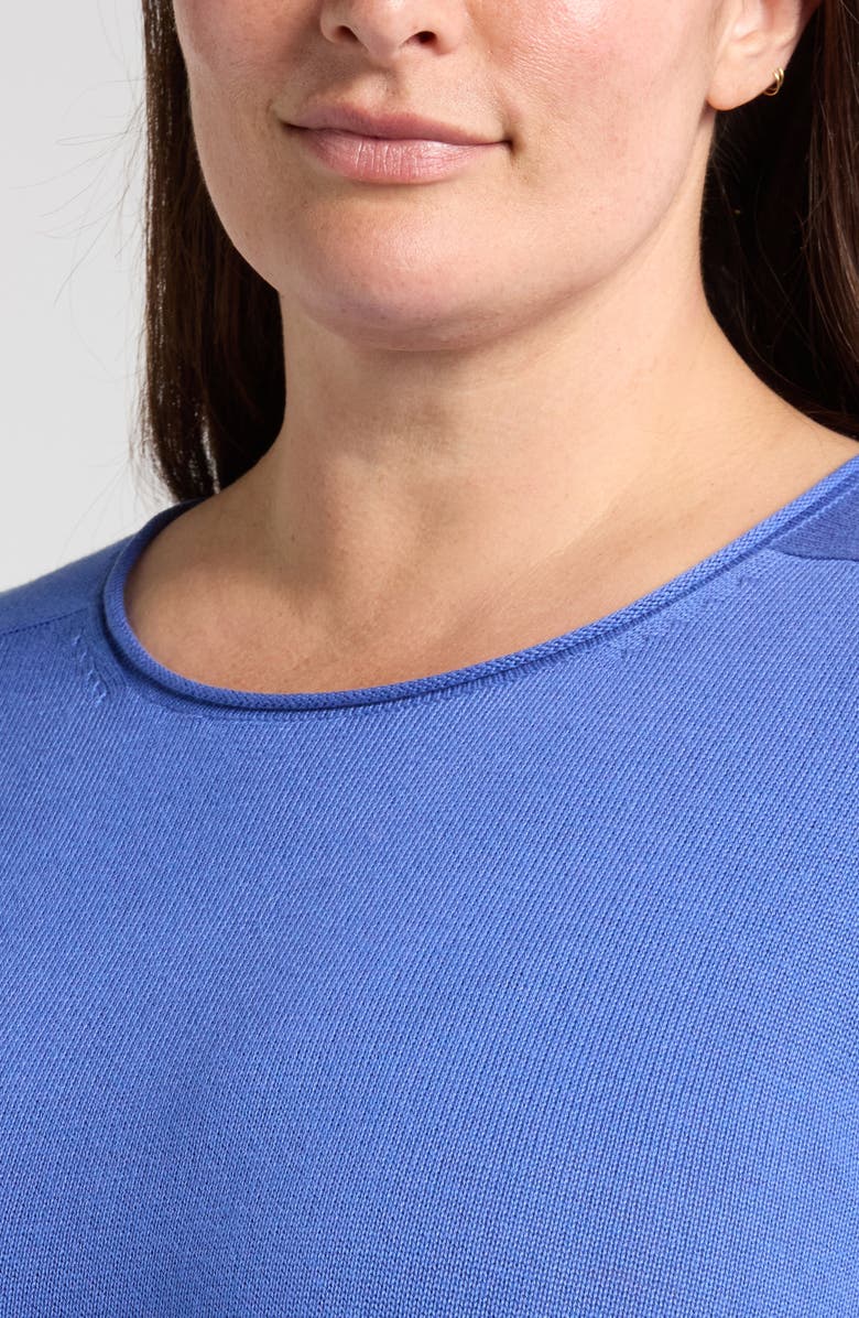 Eileen Fisher Raglan Sleeve Organic Cotton Blend Sweater, Alternate, color,