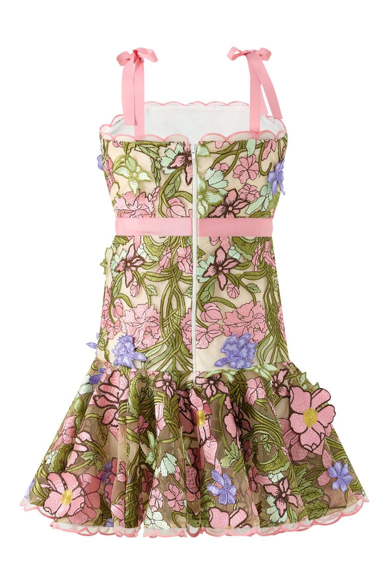 Bonnie Embroidered Mini Dress, Alternate, color, Floral