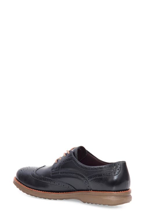 Sandro Moscoloni Shane Blucher Derby