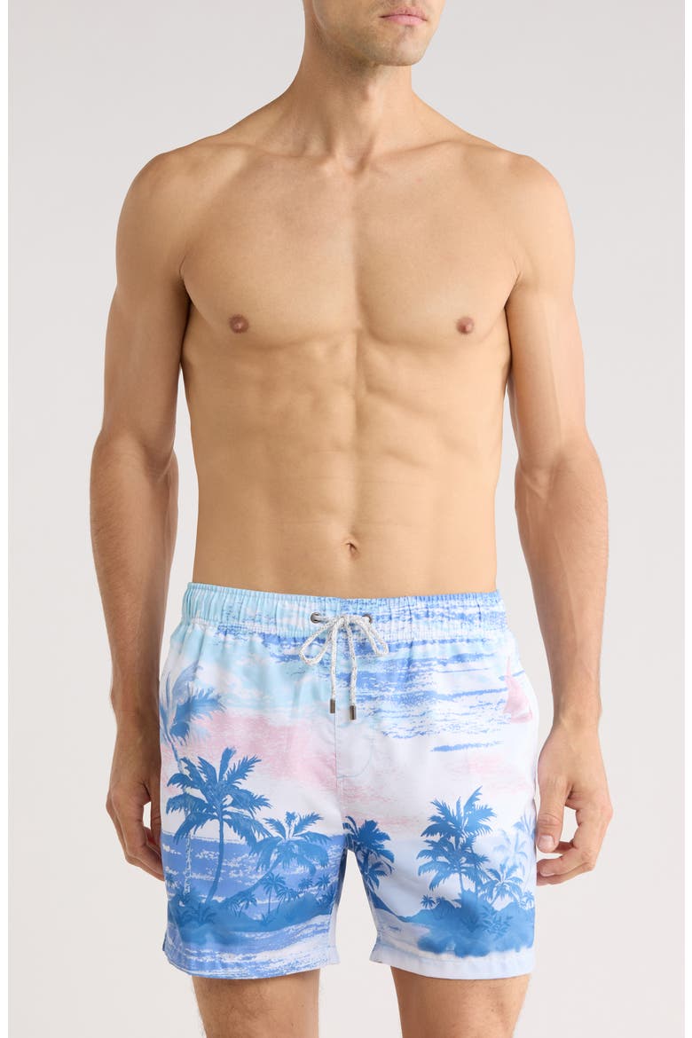 Tropical Volley Swim Trunks, Main, color, LIGHT BLUE