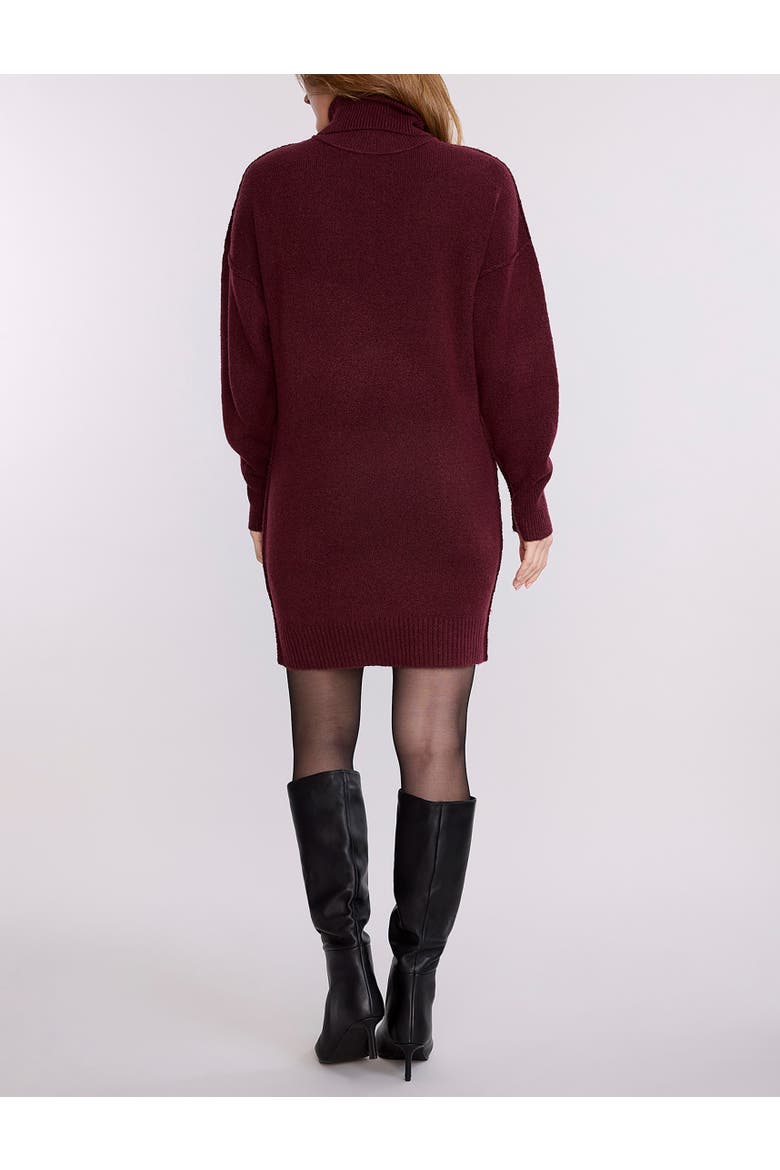 Long Sleeve Turtleneck Sweater Tunic Dress, Alternate, color, Dark Red