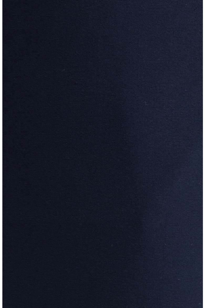 Classic Straight Leg Pants, Alternate, color, NEW NAVY