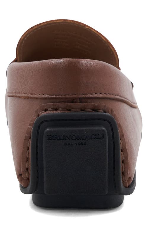 Bruno Magli Parker Bit Loafer In Brown