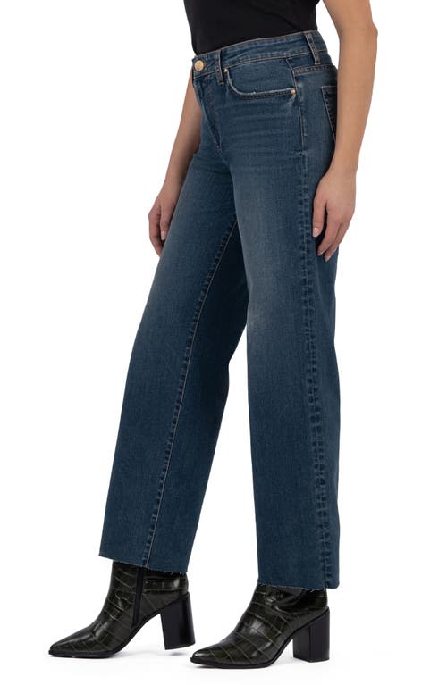 Kut From The Kloth Lucy Double Button Wide Leg Jeans In Multi