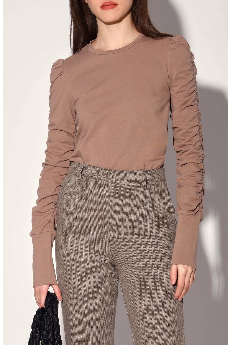 Dot Ruched Long Sleeve Top, Main, color, BROWNSTONE