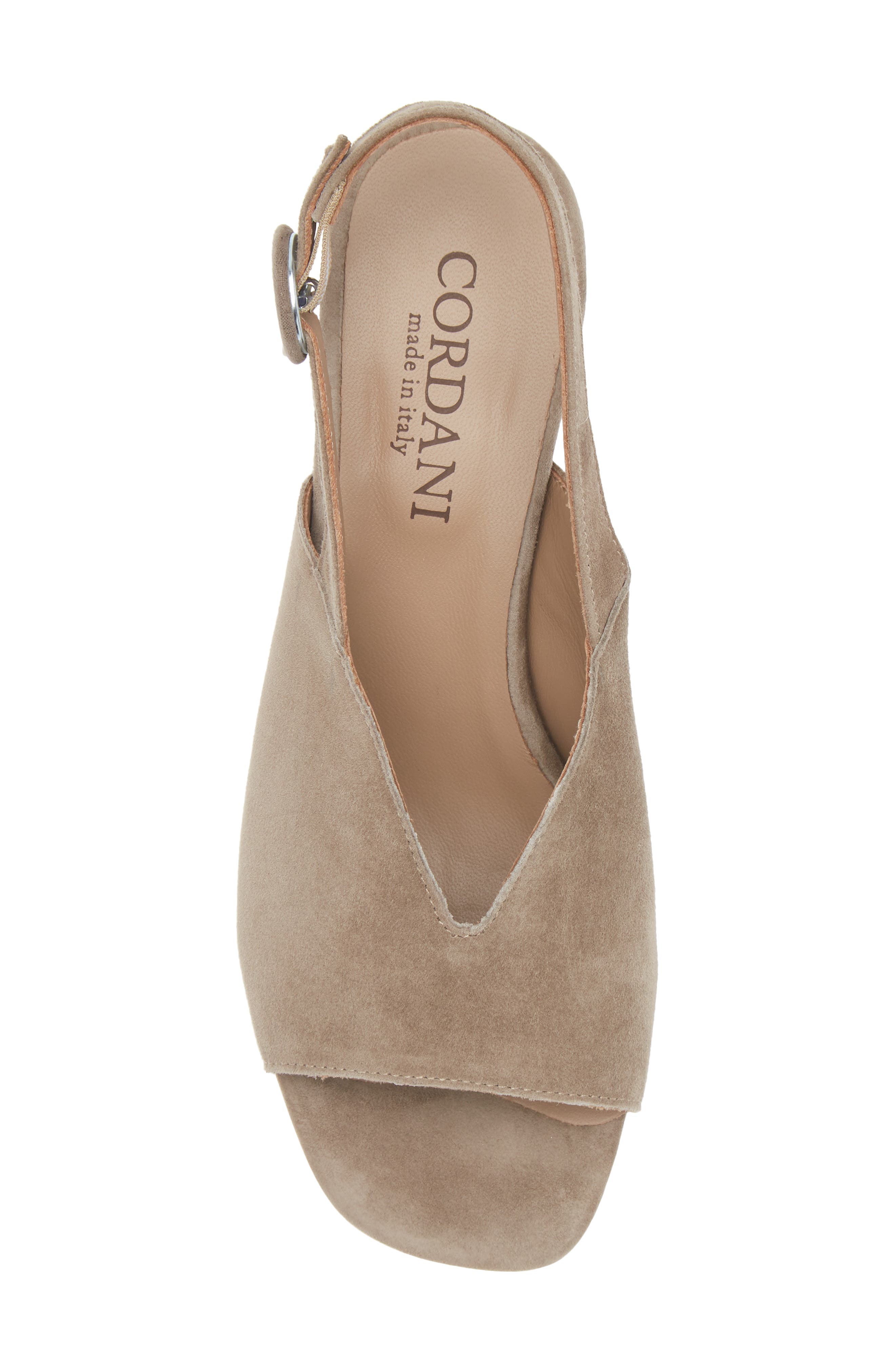 Pollette Slingback Sandal, Alternate, color, FANGO SUEDE