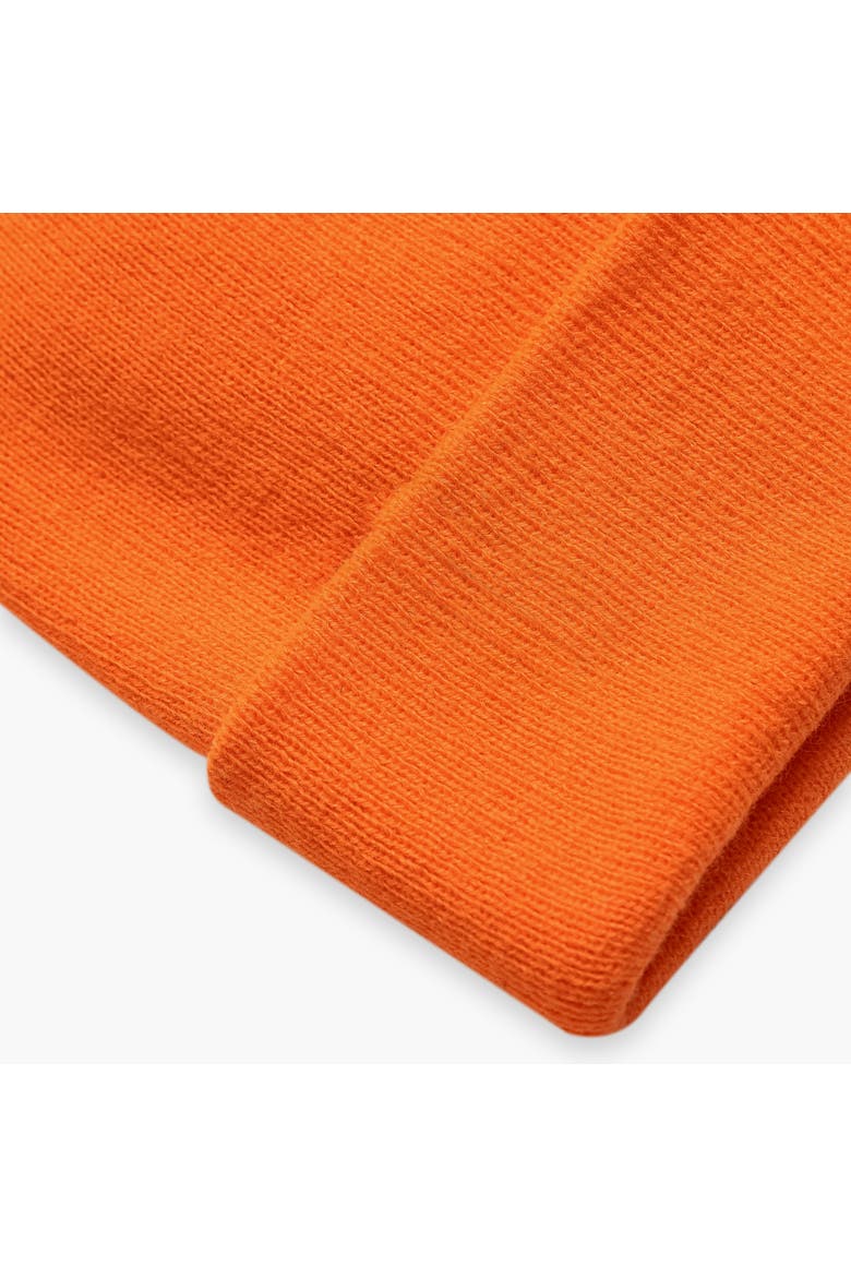 Explorer Cuffed Beanie, Alternate, color, Blaze