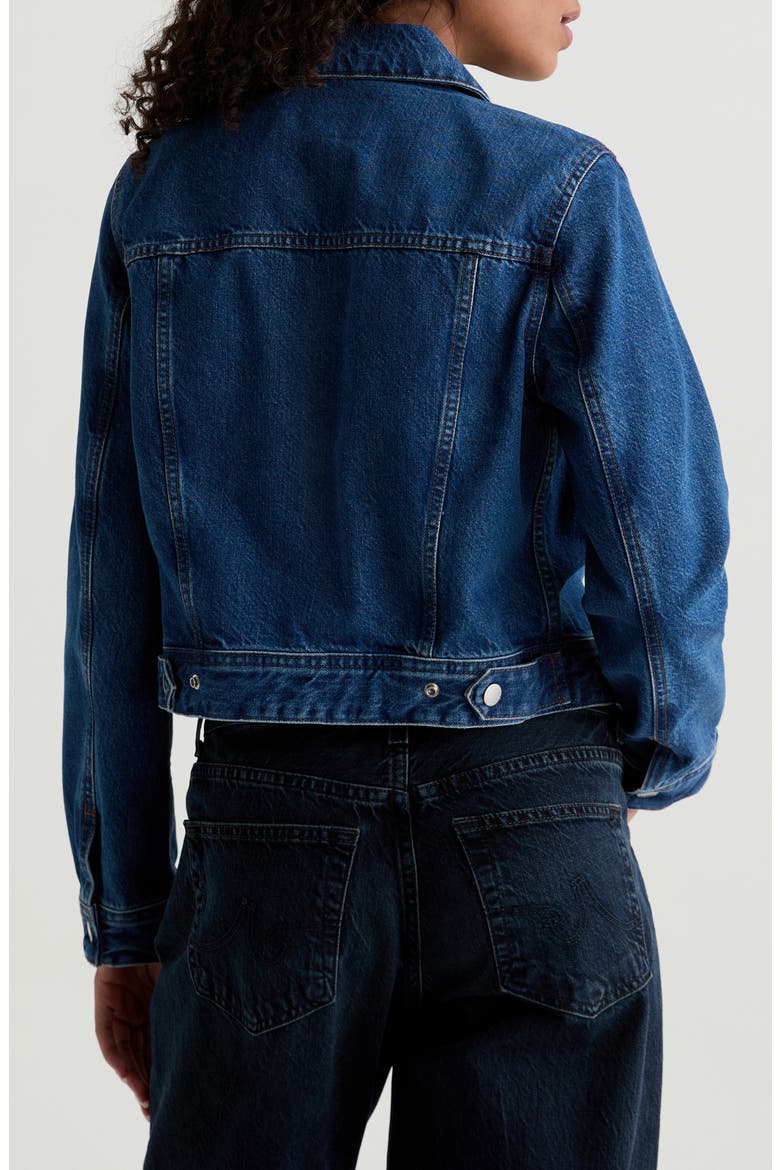 Molly Denim Trucker Jacket, Alternate, color, DENALI