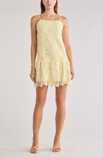 NSR A-Line Lace Minidress | Nordstromrack