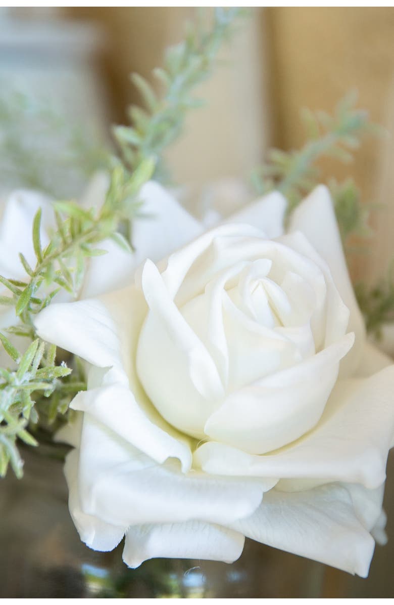 FLORA BUNDA Xmas Mix in 4.5" Cardinal Ceramic Footed Pot, Alternate, color, White