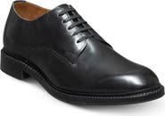 Allen Edmonds Trevor Derby