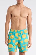 Nike Volley Swim Trunks