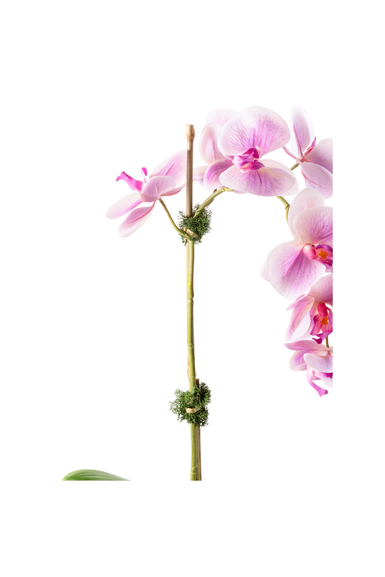 Rowan RealTouch Orchid, Alternate, color, Periwinkle