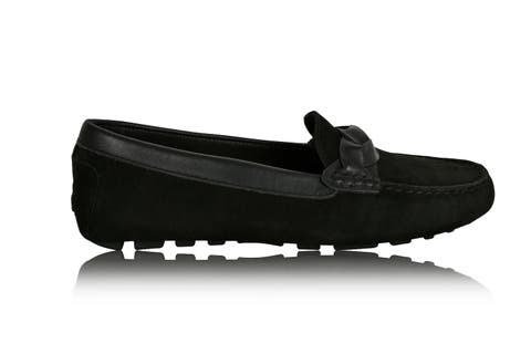 PIPER Leather Driving Loafer