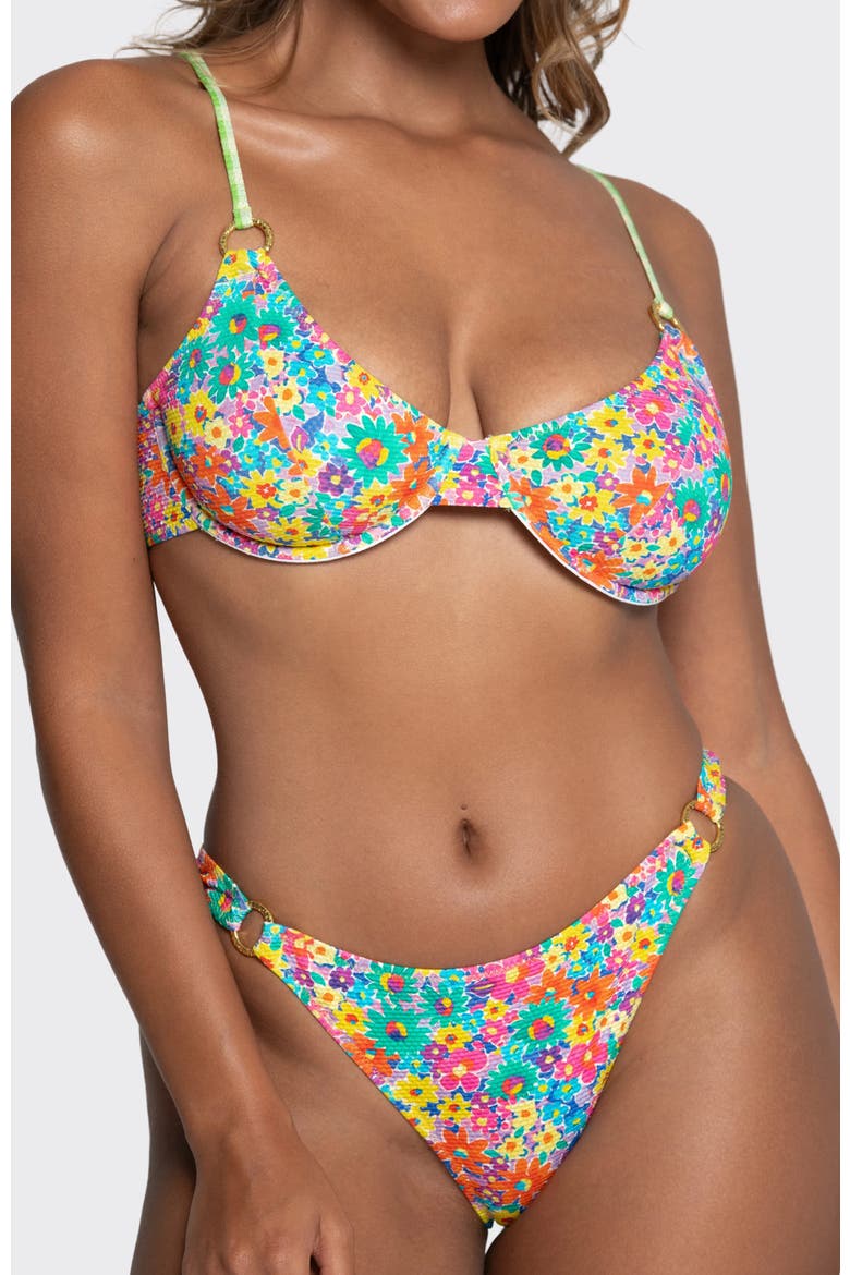Rosa Meadow Bottom, Alternate, color, Meadow