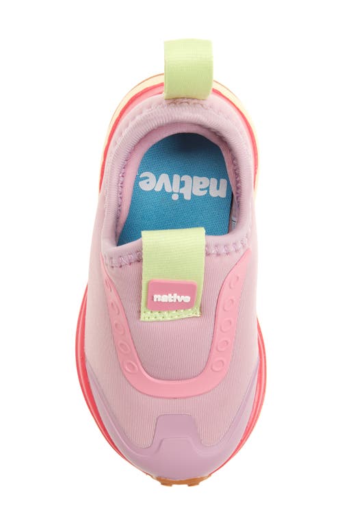 Native Shoes Robbie Dash Slip-on Sneaker In Pink