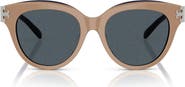 Tory Burch 53mm Phantos Sunglasses