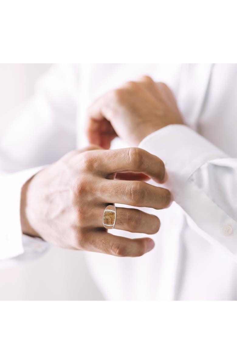 LuvMyJewelry Light Brown Picasso Jasper Sterling Silver Men Signet Ring, Alternate, color, Brown