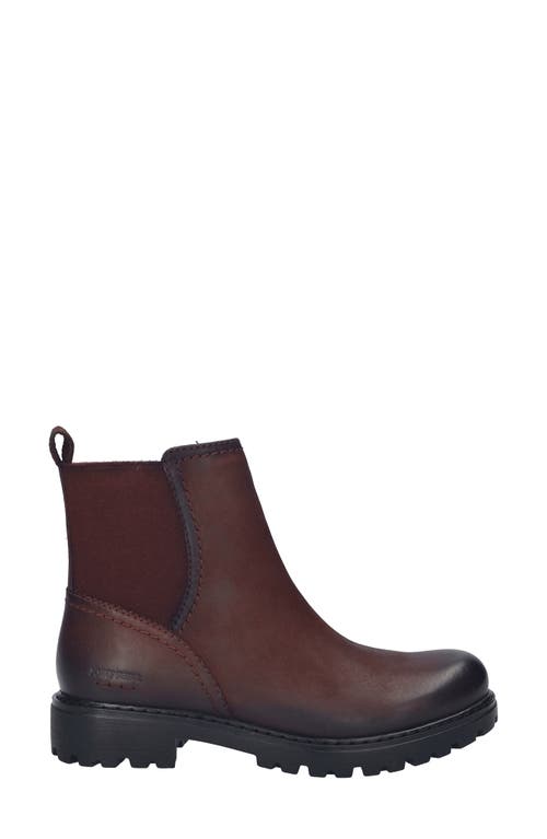 Josef Seibel Melinda Chelsea Boot In Brown