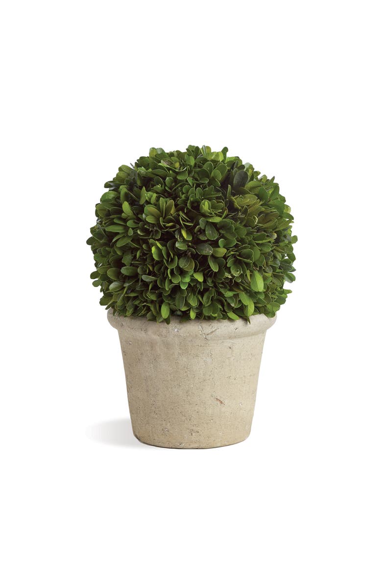 Napa Home & Garden Boxwood 8" Faux (Fake) Ball In Pot, Main, color, Green