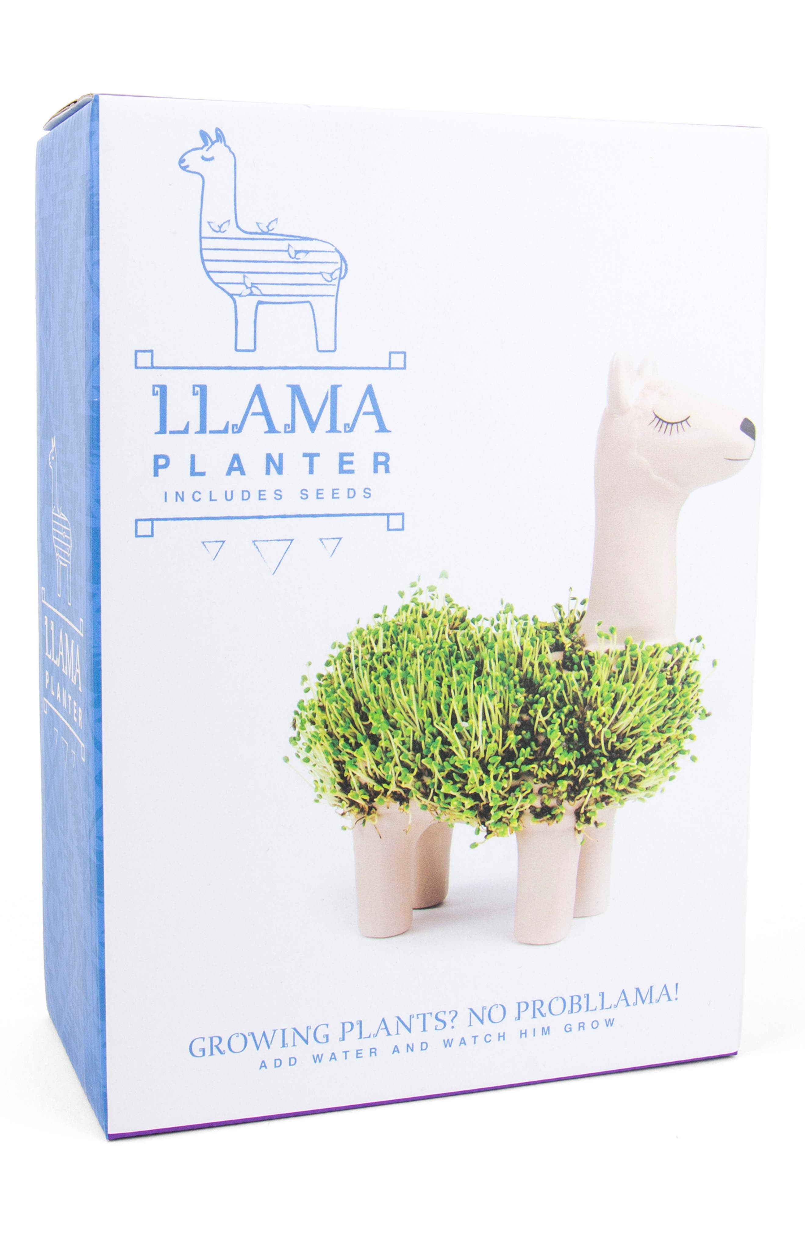 GIFT REPUBLIC Llama Chia Planter