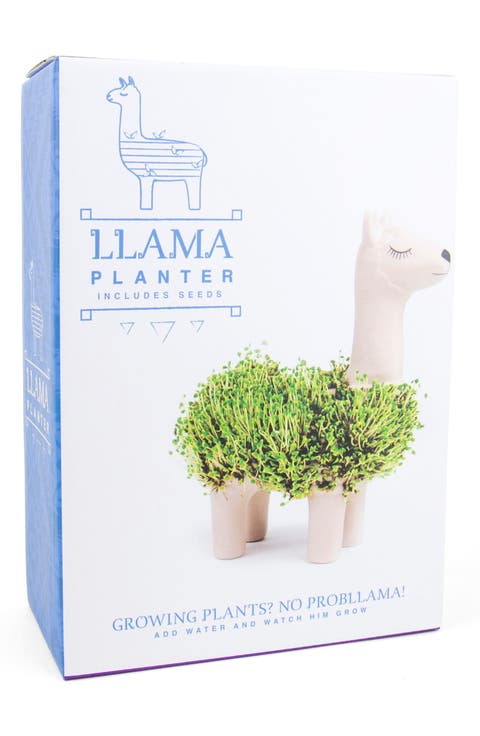 Llama Chia Planter