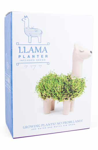 Llama Chia Planter
