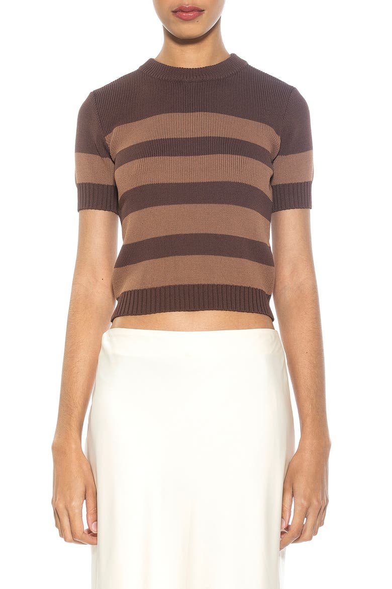 Pat Stripe Short Sleeve Sweater Top, Main, color, BROWN