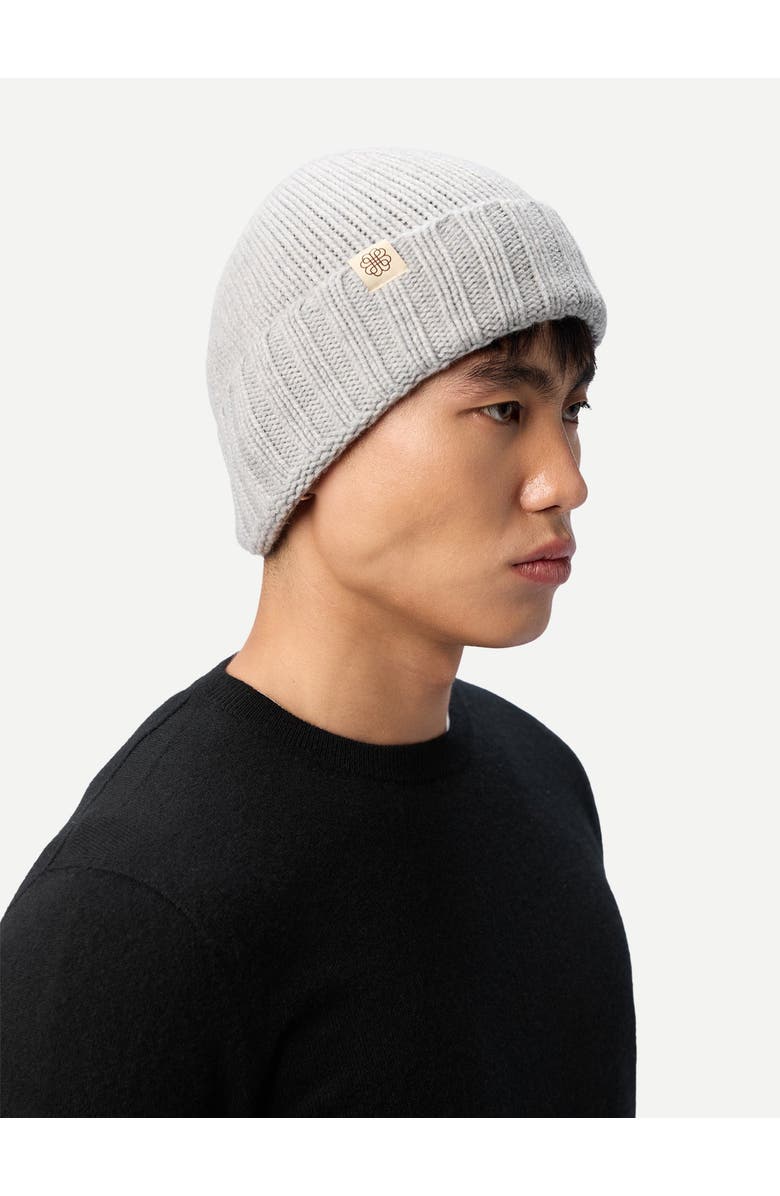 Gobi Cashmere Unisex Beanie, Alternate, color, High Rise