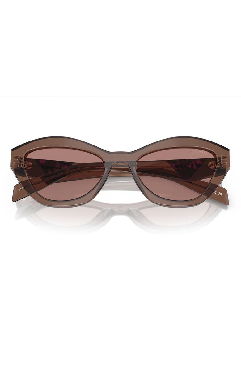 Prada 52mm Butterfly Sunglasses, Alternate, color, Light Brown
