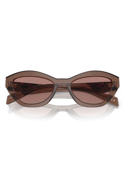 Prada 52mm Butterfly Sunglasses In Light Brown