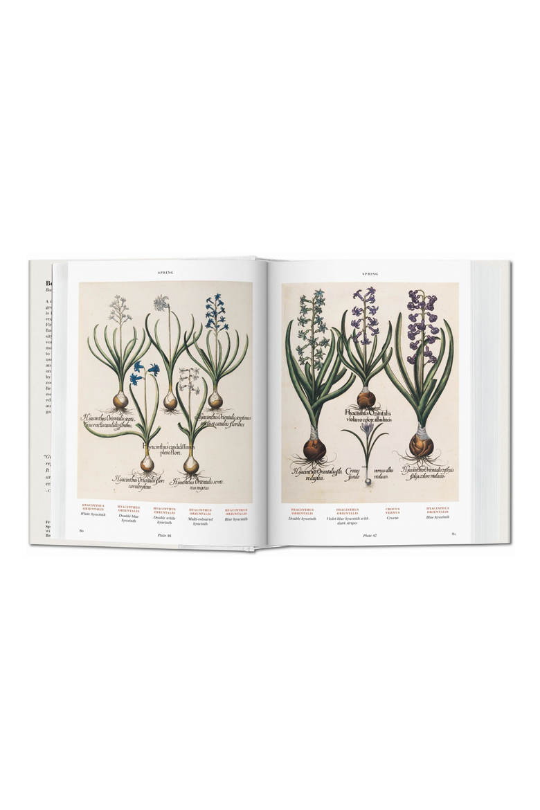 FT THE BOOK OF PLANTS, Alternate, color, WHITE