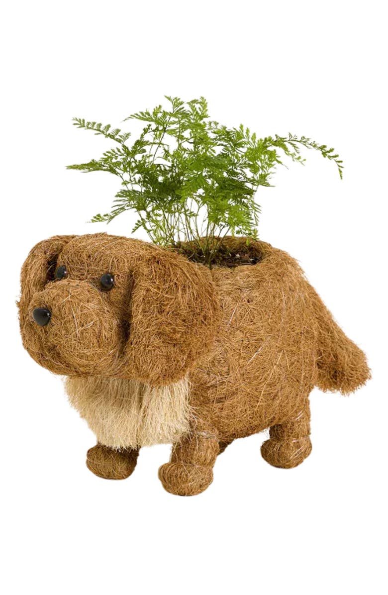 LIKHA Golden Retriever Handwoven Planter, Alternate, color,