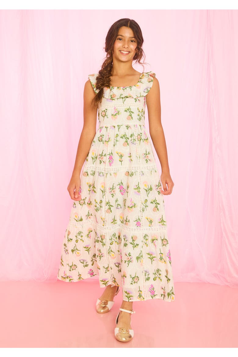 Emely Frill Embroidered Maxi Dress, Alternate, color, Floral