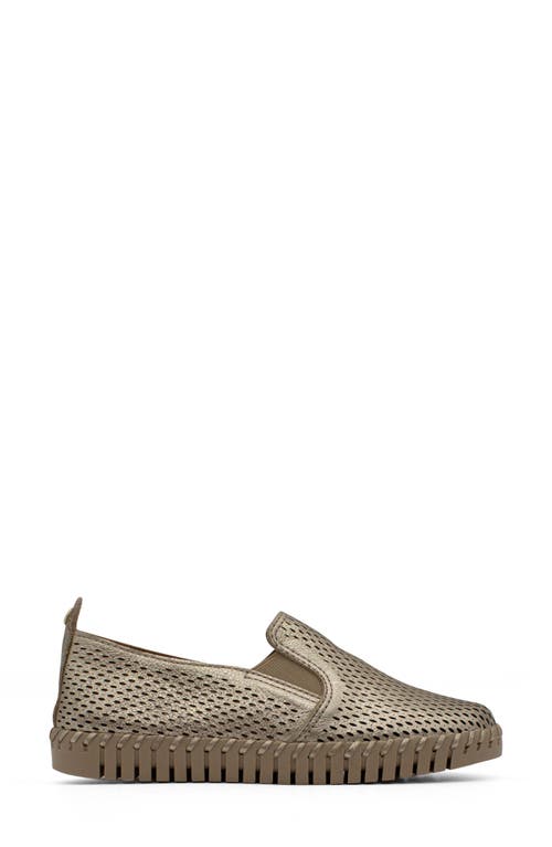 Bottero Bottwister Verao Xxiii Slip-on Sneaker