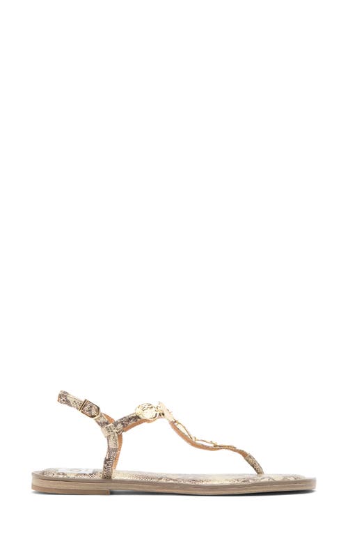 Dolce Vita Dv By  Jaime T-strap Sandal In Jaime Exotic